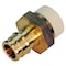 Apollo 1/2 in. Brass PEX-A Barb x 1/2 in. CPVC Straight Adapter EPXCPVC12 - alternate 2